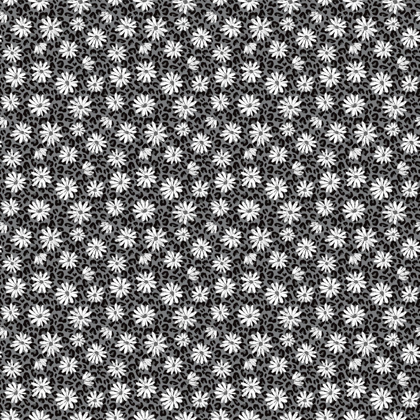 EP Daisy Leo