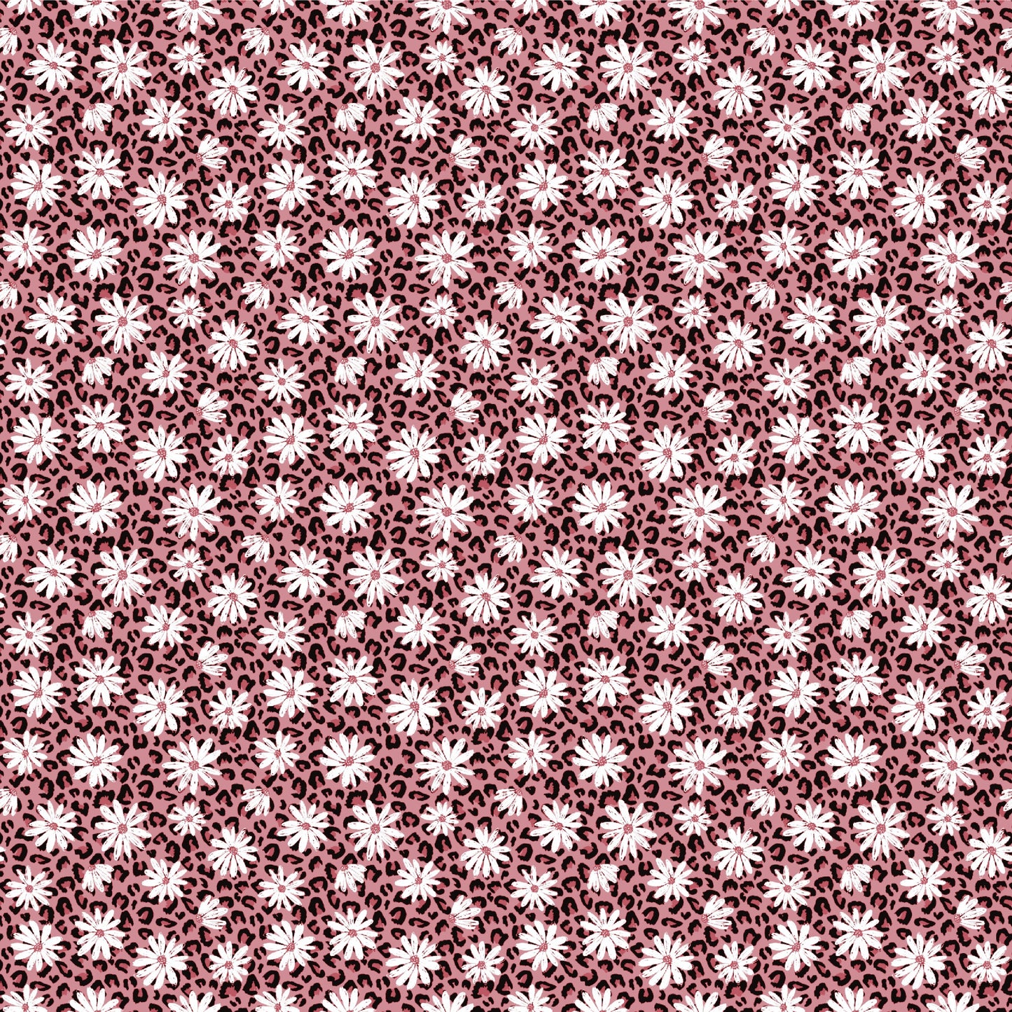 EP Daisy Leo