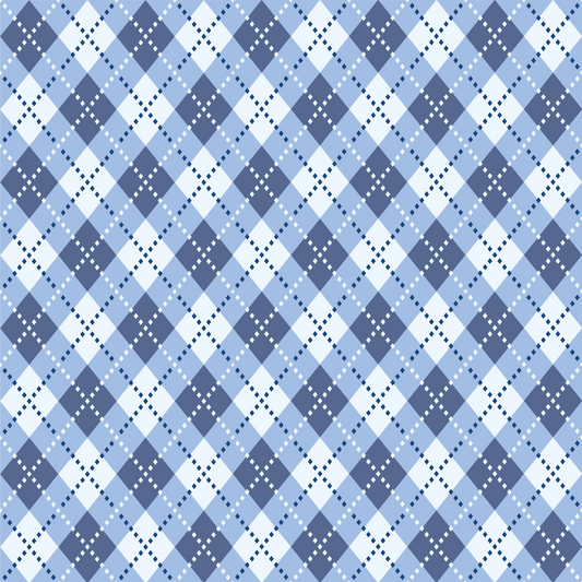 EP Plaid blue and white